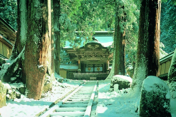 【JR和歌山駅発】 【年末年始】雪化粧の永平寺・兼六園と気多大社初詣~氷見温泉郷で食す『寒ブリしゃぶ料理』2日間1